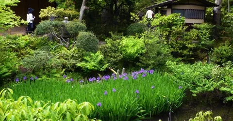 El pequeño jardín del museo Nezu esconde cuatro chashistu, casas de té.