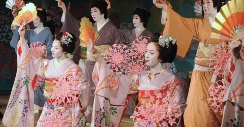 Kamogawaodori è una geisha spettacoli, apprendisti e confermato nel teatro Pontocho Kaburenjo a Kyoto.