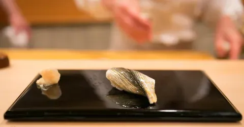 Sushi de kohada, poisson de la famille du hareng (Dorosoma cepedianum)