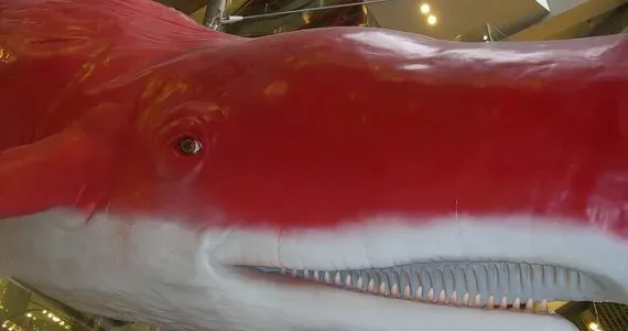 La ballena roja gigante del HEP Five.